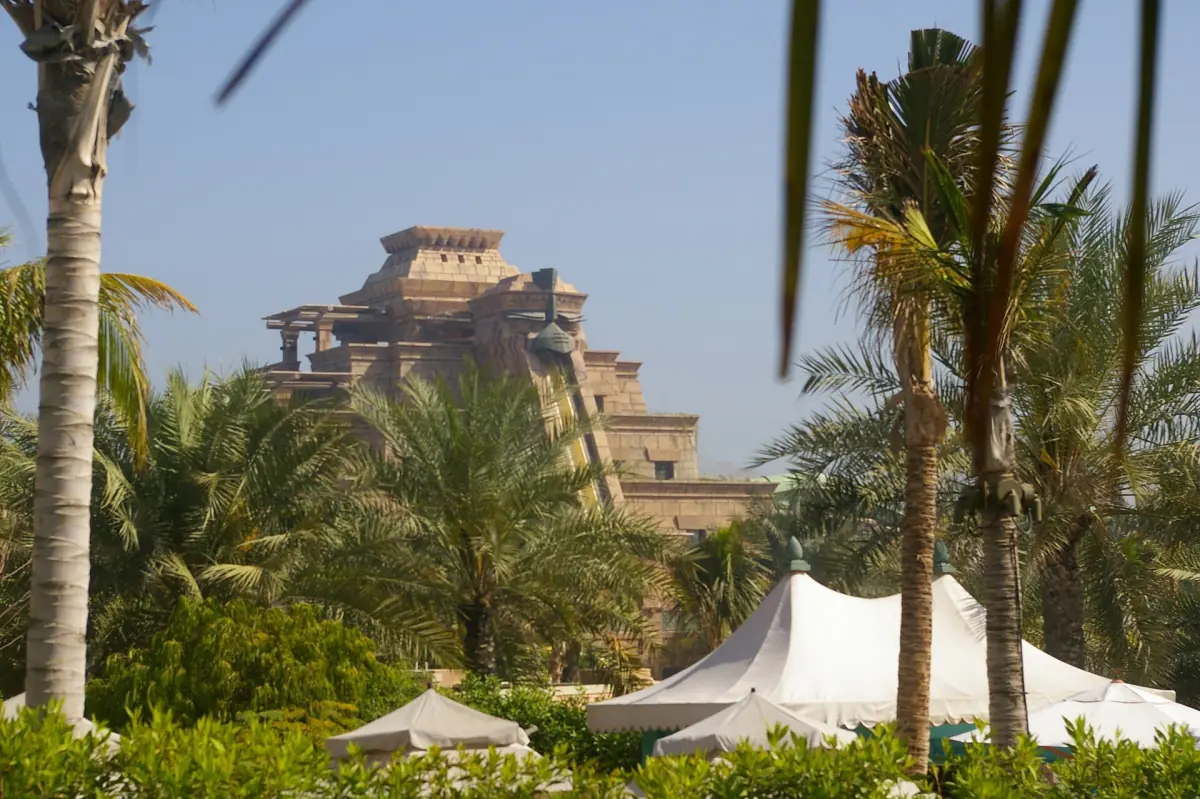 A waterpark tower among palm trees at Aquaventure