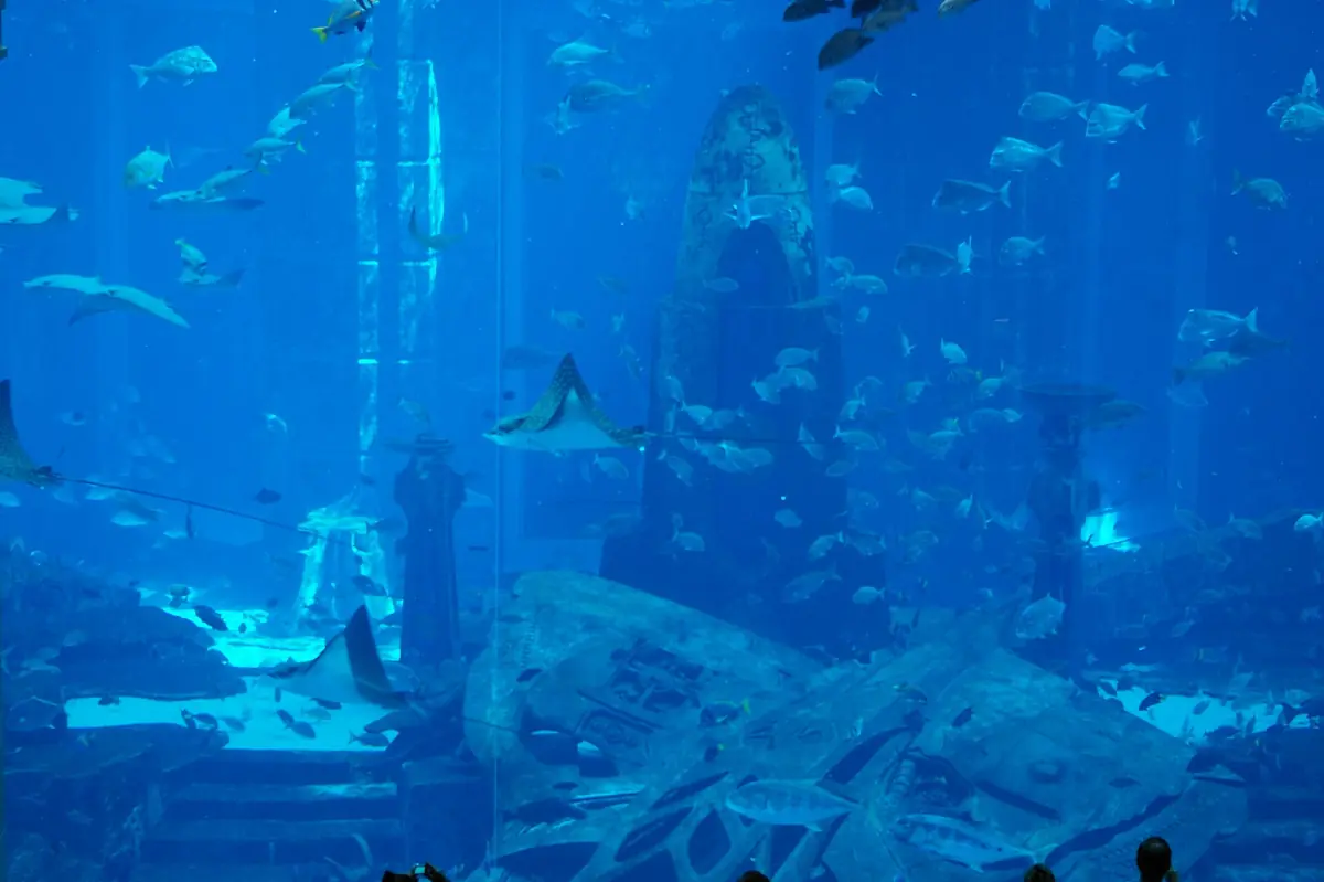 The large aquarium tank at Atlantis The Palm