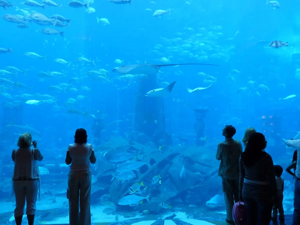 Visitors at an aquarium window at Atlantis The Palm